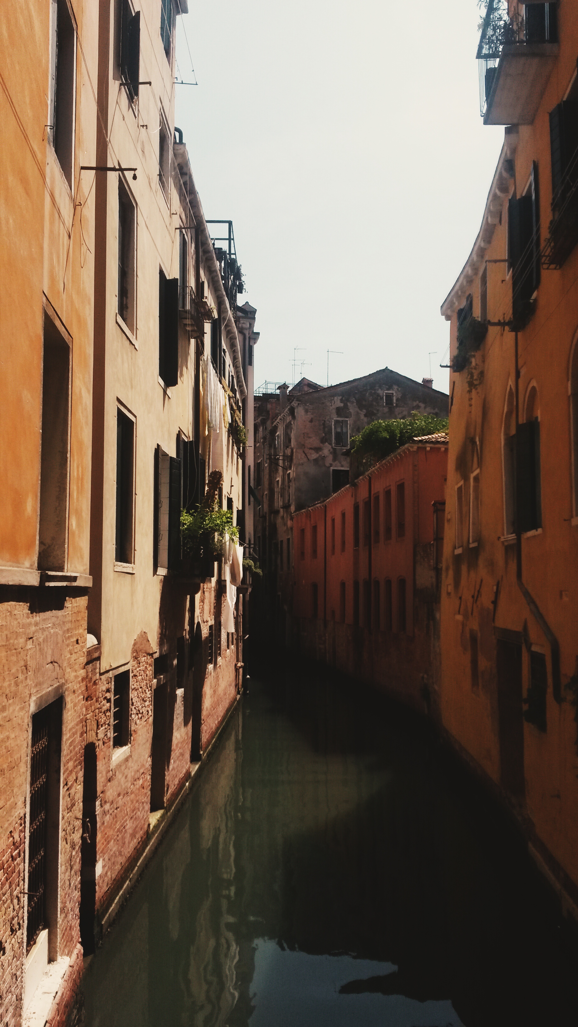 2014-08-08 09.50.00 1.jpg image